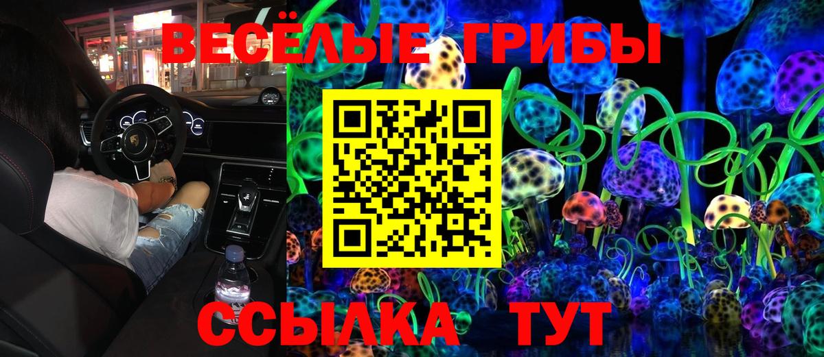 наркота  Псилоцибиновые грибы Magic Shrooms  Кропоткин  Вход с VPN  Псилоцибиновые грибы прущие грибы 