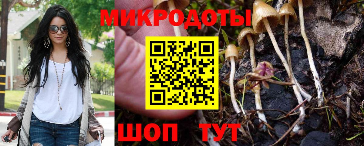 Псилоцибиновые грибы GOLDEN TEACHER Кропоткин
